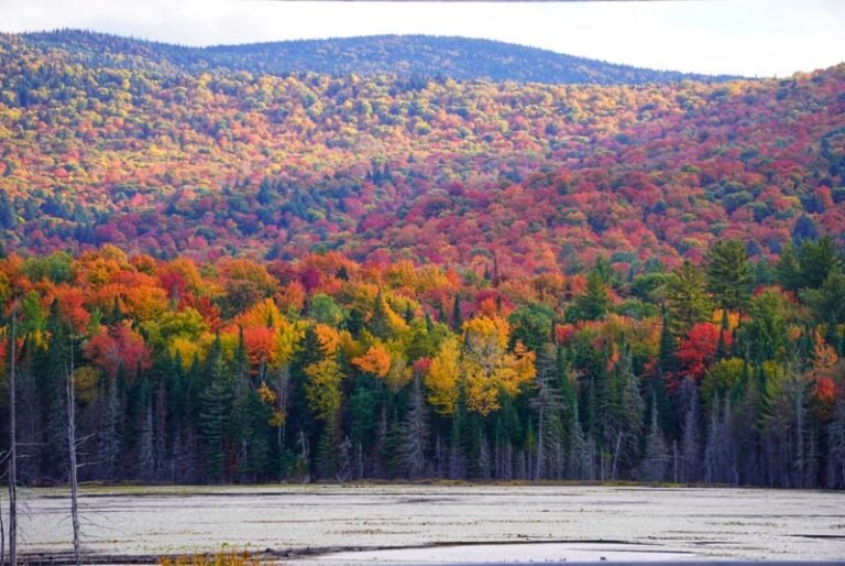 Fall Foliage Road Trip in the Adirondacks : Scenic Drives, Hikes & Lakes