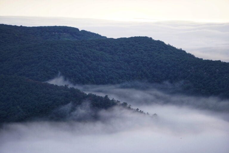 Best Things To Do In Shenandoah National Park