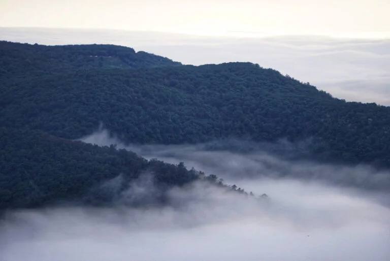 Best Things To Do In Shenandoah National Park