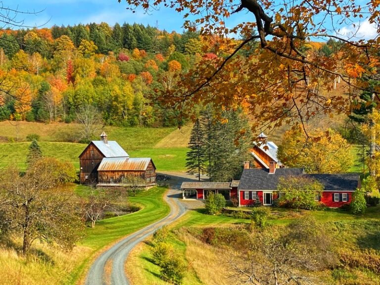 Best Places to See Fall Foliage in Vermont : A Must-Visit Guide