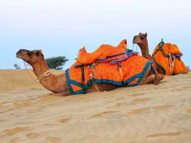 Top things to do in Jaisalmer, Rajasthan