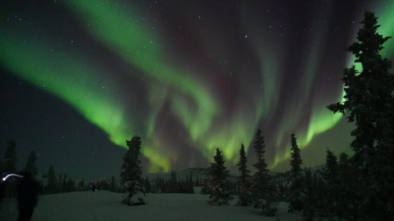 Aurora Borealis in Alaska : Are Northern lights Tours in Fairbanks Worth It?