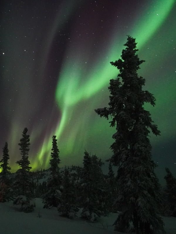 northern lights tours in fairbanks alaska
