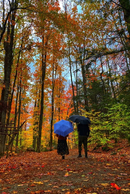 Sabbaday Falls Trail in Kancamagus highway