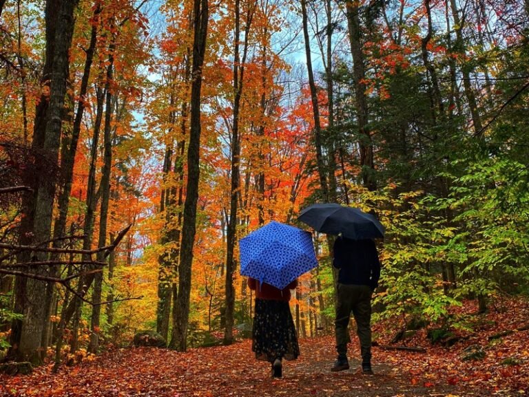 Top things to do for Fall foliage in New Hampshire