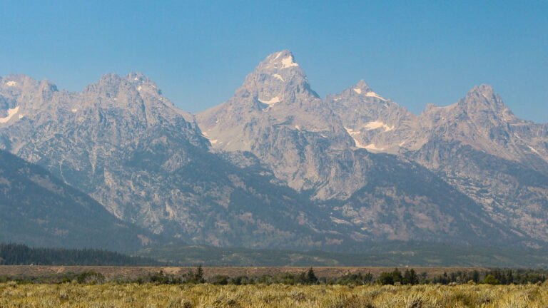 One day in Grand Teton National Park