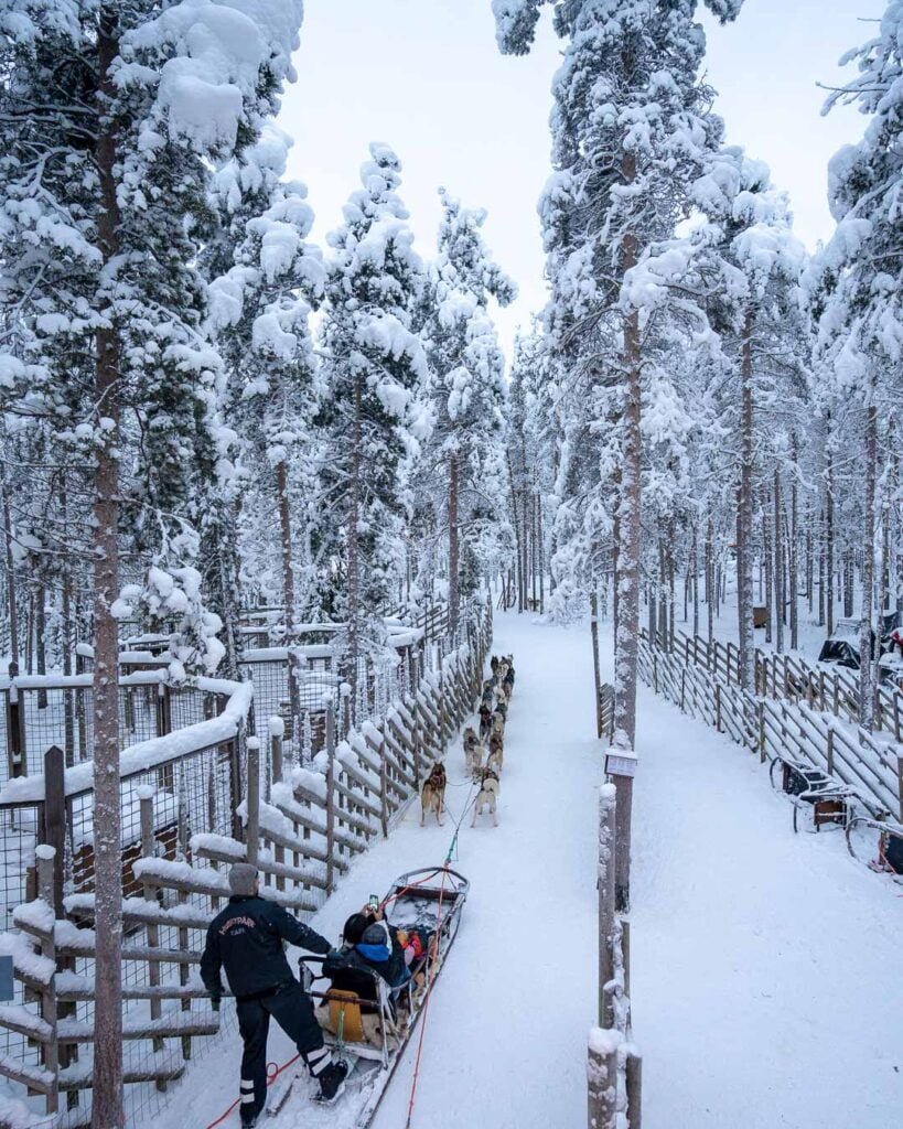 Lapland Finland Husky ride