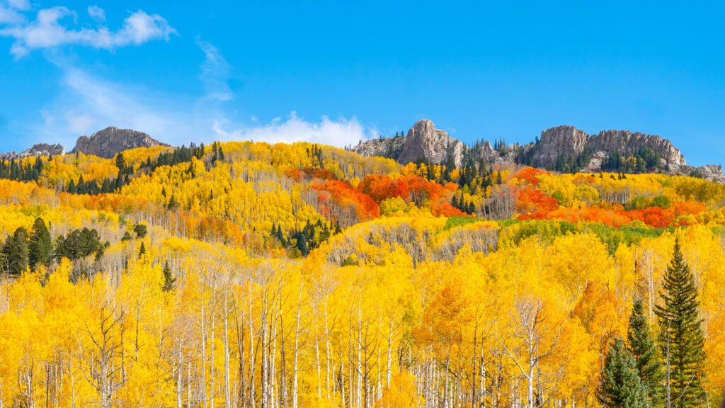 Kebler Pass during fall foliage