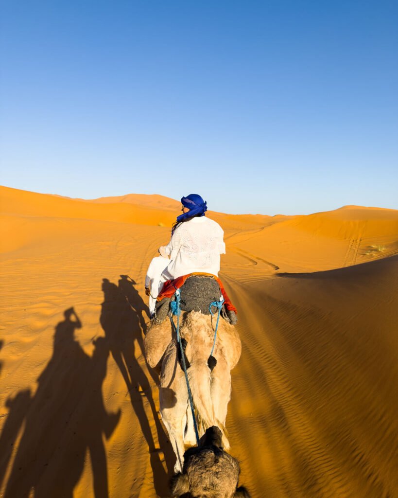 Camel ride into the dunes