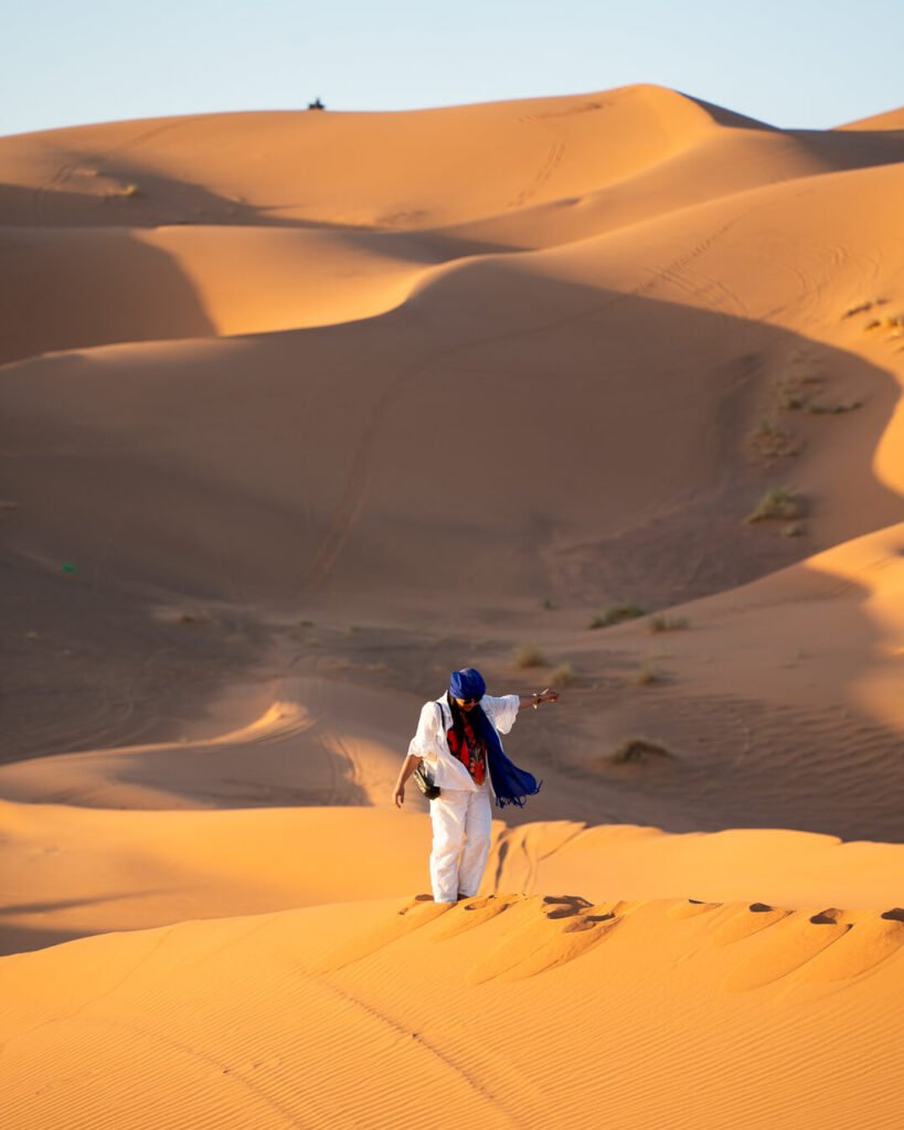 Dunes in the sunset Sahara Desert