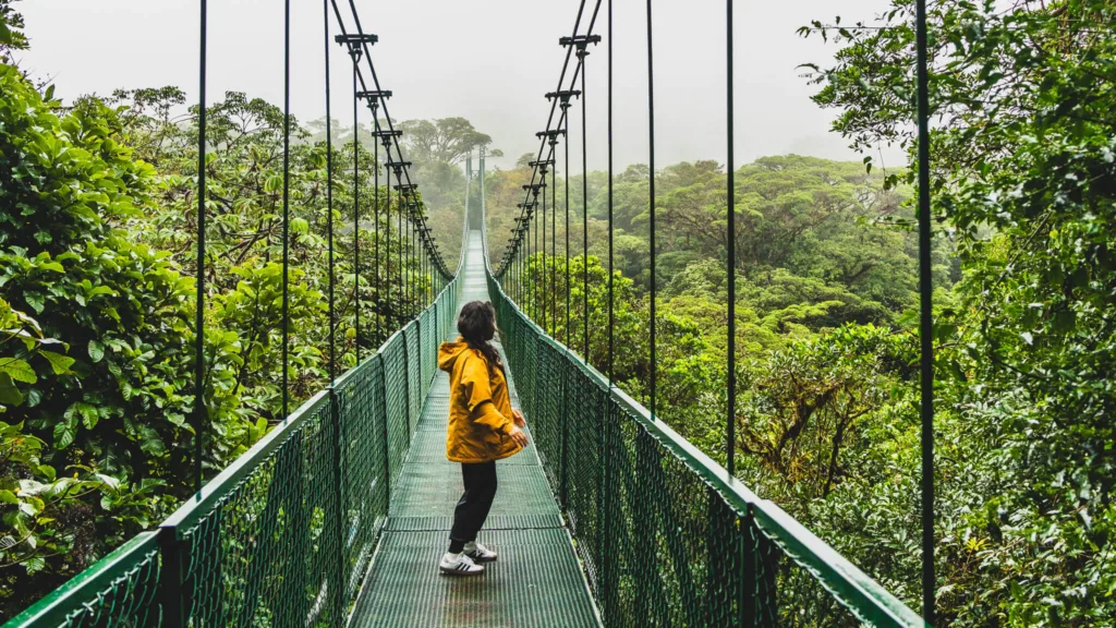 Hanging bridges near Arenal Volcano