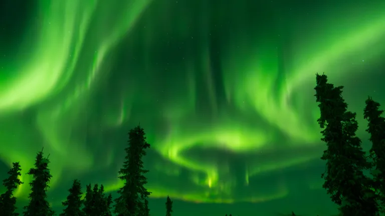 Top things to do in Alaska in winter