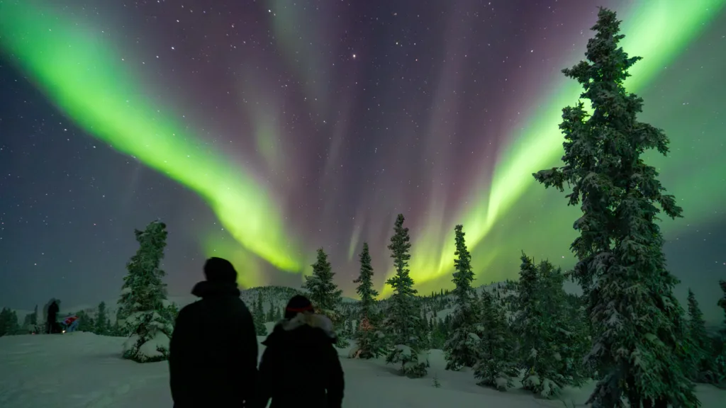 Chasing the Northern Lights in Fairbanks