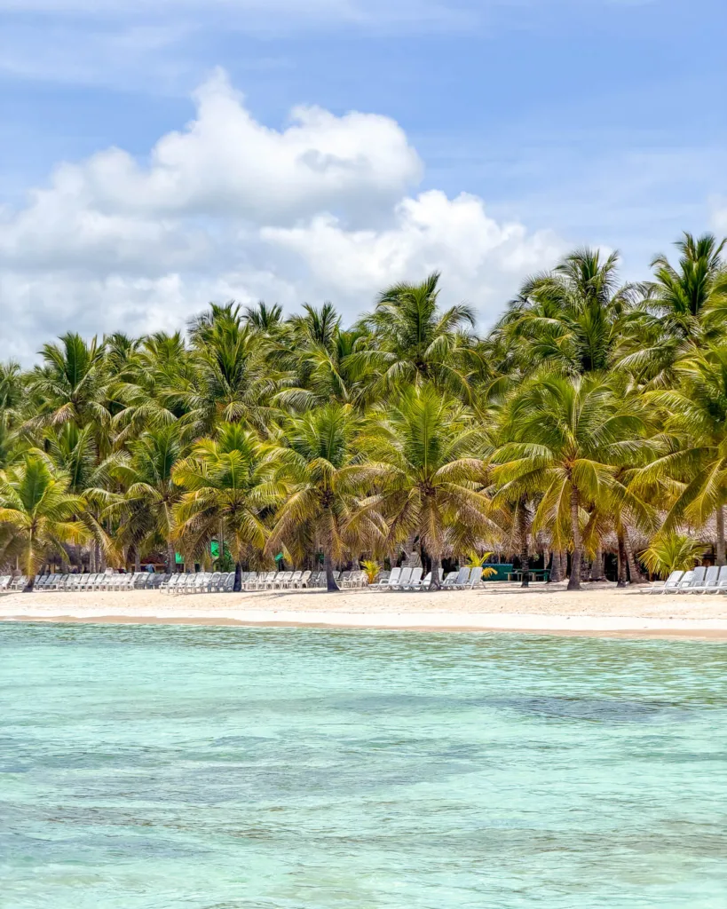 Saona Island Day Trip from Punta Cana